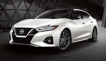 2023 Nissan Maxima in Don Franklin Nissan Somerset in Somerset KY